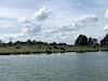 Maasplassen, een prachtig stukje Limburg!