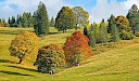 Duitsland - Zwarte Woud - Obertal
