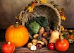 Herfsttinten tocht
