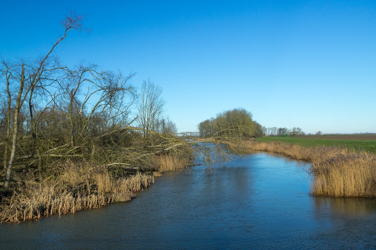 Winterstilte in de Biesbosch…