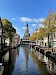 Tussen tropische vlinders & verrassend Alkmaar