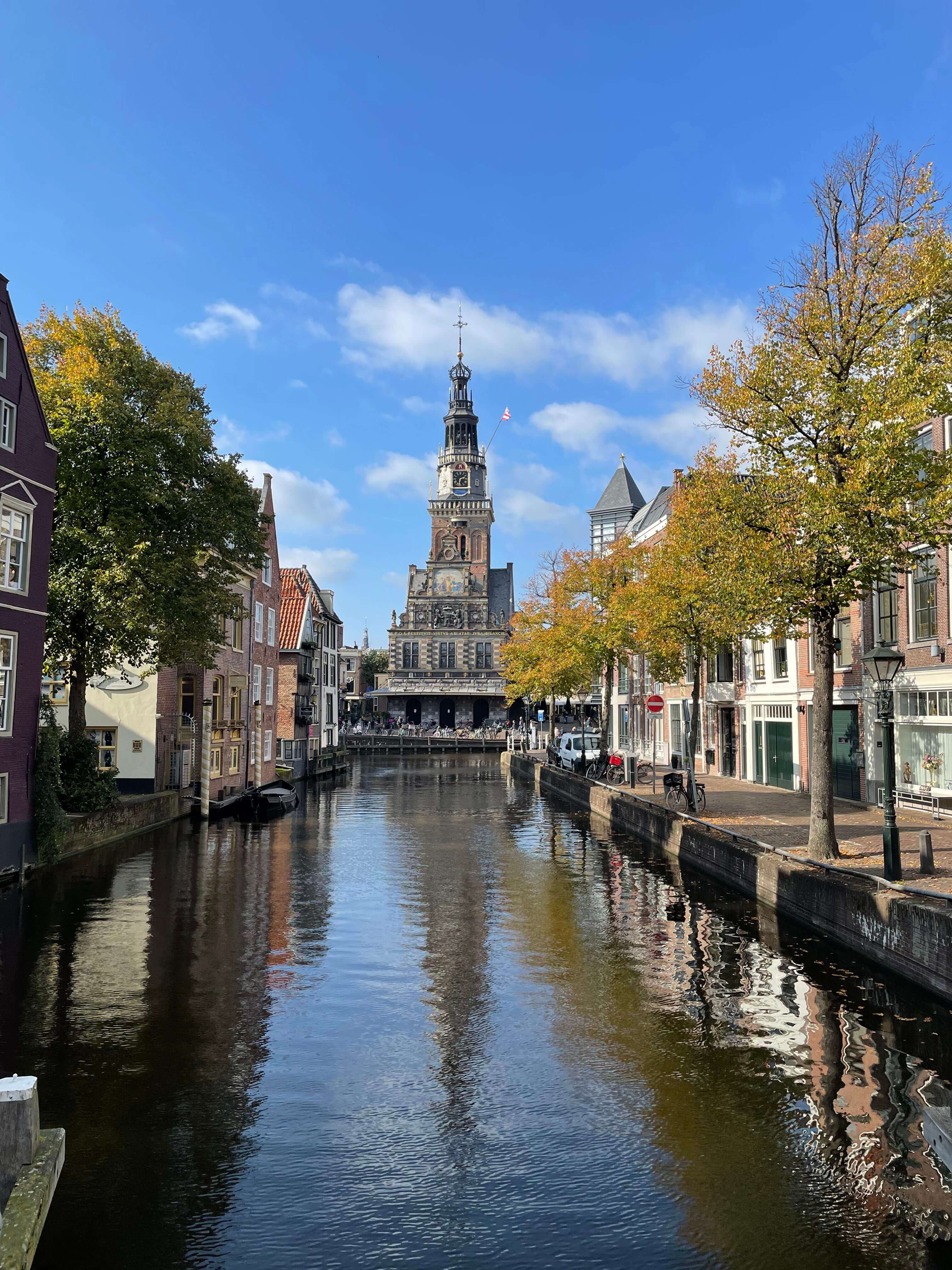 Tussen tropische vlinders & verrassend Alkmaar