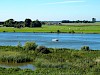 Op ontdekking in Hanzestad Kampen